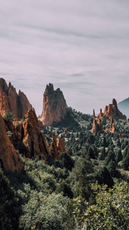 mountains, rocks, forest Wallpaper 720x1280