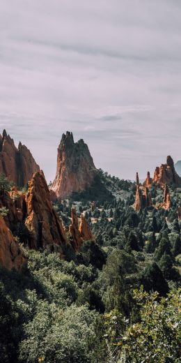 mountains, rocks, forest Wallpaper 720x1440