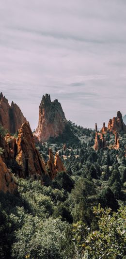 mountains, rocks, forest Wallpaper 1440x2960