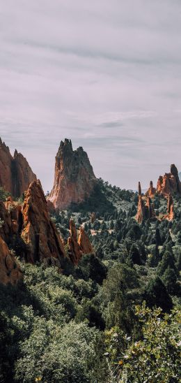 mountains, rocks, forest Wallpaper 1440x3040