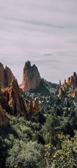 mountains, rocks, forest Wallpaper 828x1792