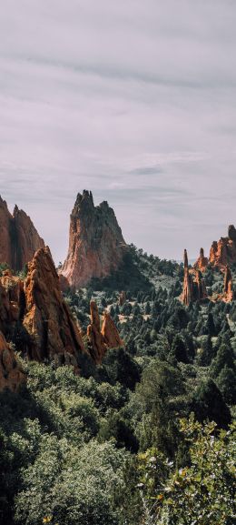 mountains, rocks, forest Wallpaper 1440x3200