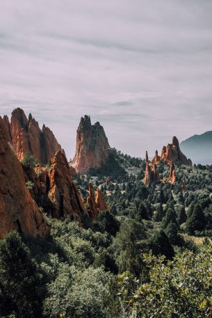 mountains, rocks, forest Wallpaper 640x960