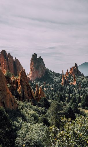 mountains, rocks, forest Wallpaper 1200x2000