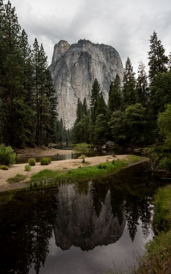 Yosemite National Park, USA Wallpaper 1752x2800