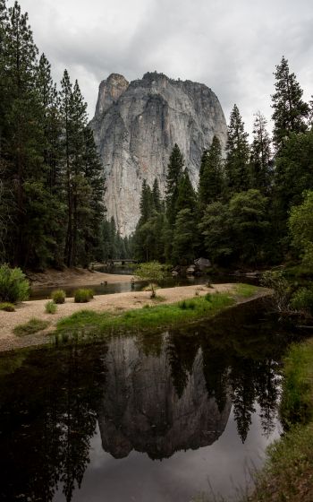 Yosemite National Park, USA Wallpaper 1600x2560