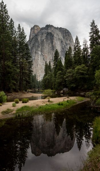 Yosemite National Park, USA Wallpaper 600x1024