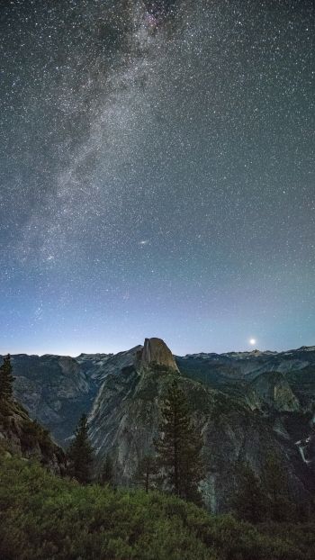 Yosemite Valley, USA Wallpaper 1440x2560