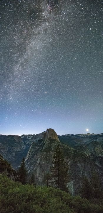 Yosemite Valley, USA Wallpaper 1440x2960