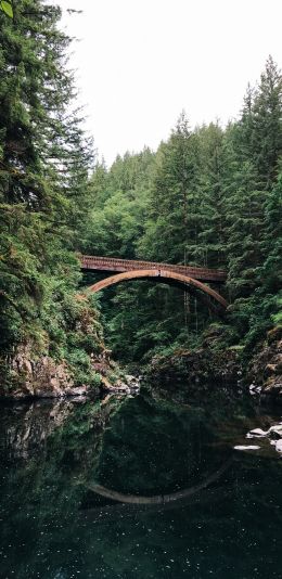 Moulton Falls, USA Wallpaper 1080x2220