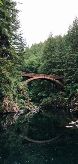 Moulton Falls, USA Wallpaper 1080x2280