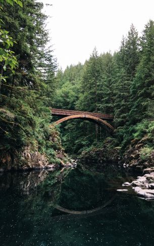 Moulton Falls, USA Wallpaper 800x1280