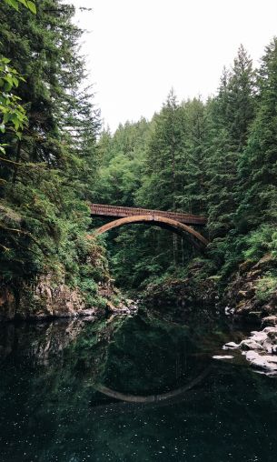 Moulton Falls, USA Wallpaper 1200x2000