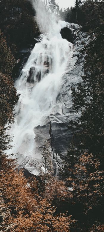 waterfall, mountains, trees Wallpaper 1440x3200