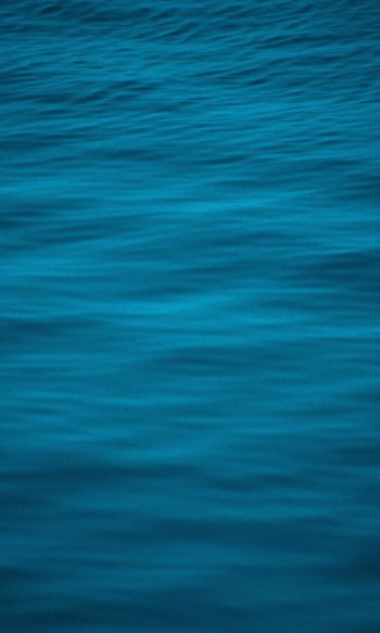 blue, water, ripple Wallpaper 1200x2000