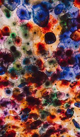 jellyfish, color, underwater Wallpaper 600x1024