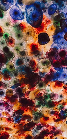 jellyfish, color, underwater Wallpaper 1440x2960