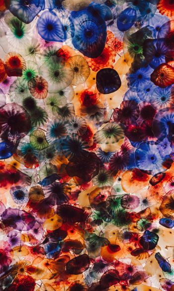 jellyfish, color, underwater Wallpaper 1200x2000