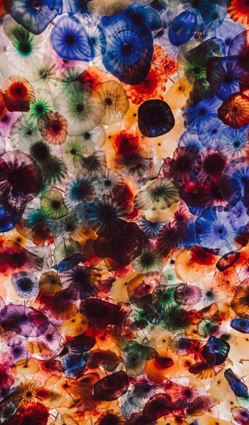 Обои 600x1024 медузы, цветной, под водой