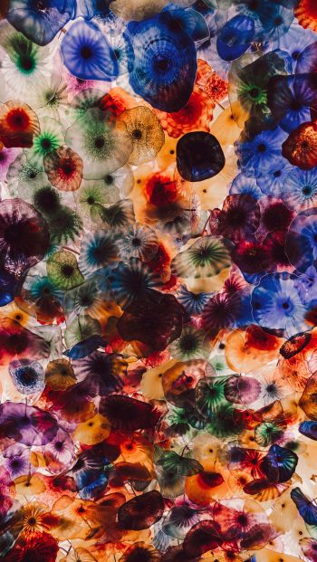 jellyfish, color, underwater Wallpaper 640x1136