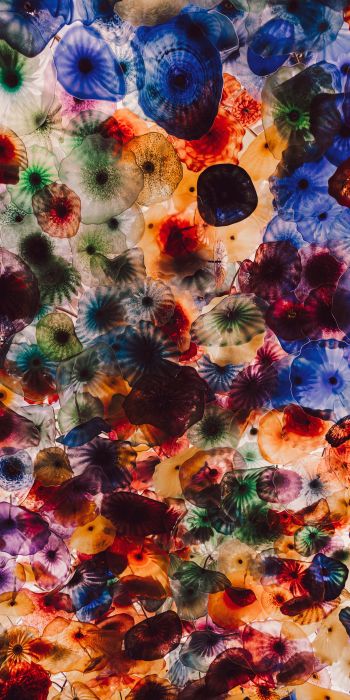 jellyfish, color, underwater Wallpaper 720x1440