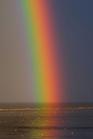 rainbow, sea, water, sky Wallpaper 3217x4825