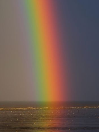 rainbow, sea, water, sky Wallpaper 1620x2160