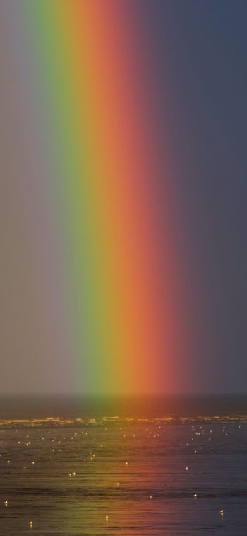 rainbow, sea, water, sky Wallpaper 1170x2532