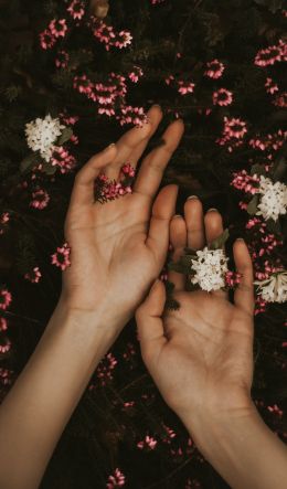 hand, atmospheric, flowers Wallpaper 600x1024