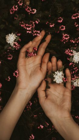 hand, atmospheric, flowers Wallpaper 2160x3840