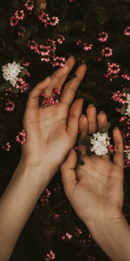 hand, atmospheric, flowers Wallpaper 720x1440