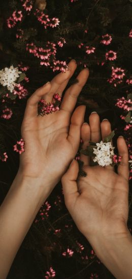 hand, atmospheric, flowers Wallpaper 720x1520