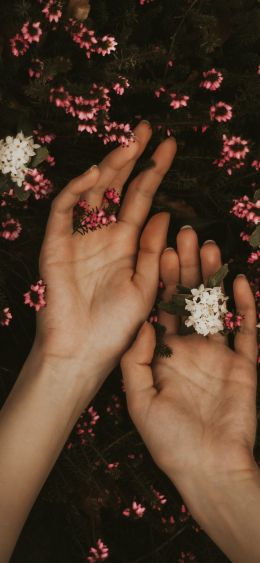 hand, atmospheric, flowers Wallpaper 1080x2340