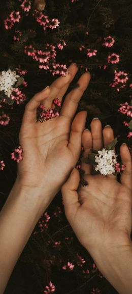 hand, atmospheric, flowers Wallpaper 1440x3200