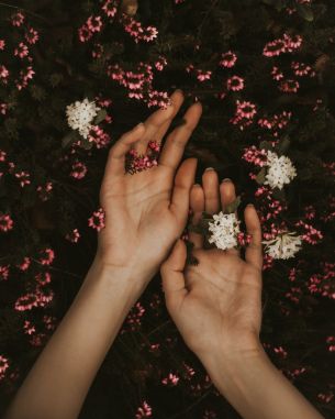 hand, atmospheric, flowers Wallpaper 3072x3840