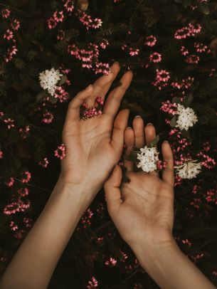 hand, atmospheric, flowers Wallpaper 1620x2160