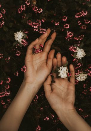 hand, atmospheric, flowers Wallpaper 1668x2388