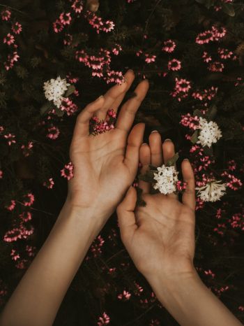 hand, atmospheric, flowers Wallpaper 1620x2160