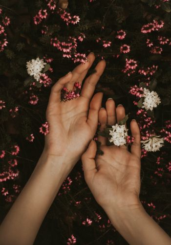hand, atmospheric, flowers Wallpaper 1668x2388