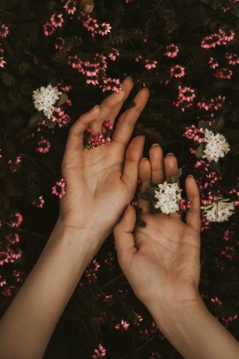 hand, atmospheric, flowers Wallpaper 640x960