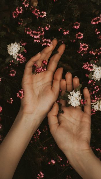 hand, atmospheric, flowers Wallpaper 640x1136