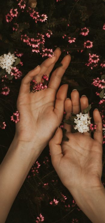 hand, atmospheric, flowers Wallpaper 1080x2280