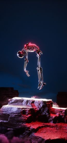 skeleton, 3D modeling, graphics Wallpaper 720x1520