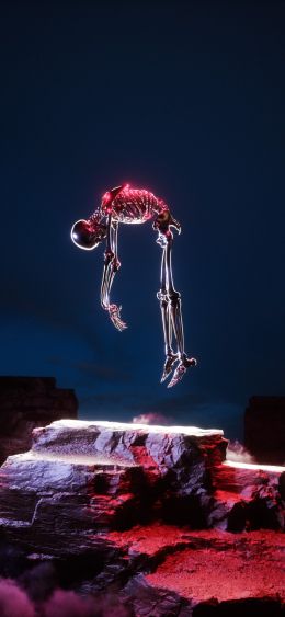 skeleton, 3D modeling, graphics Wallpaper 1080x2340