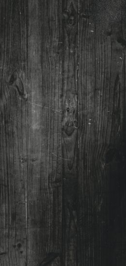 wood, dark, achromatic Wallpaper 1440x3040