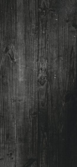 wood, dark, achromatic Wallpaper 1170x2532