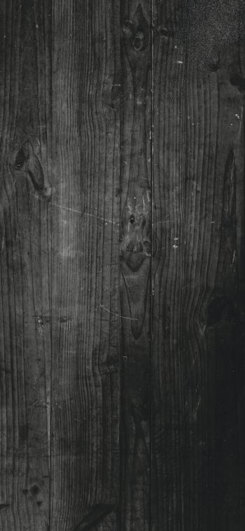 wood, dark, achromatic Wallpaper 1170x2532