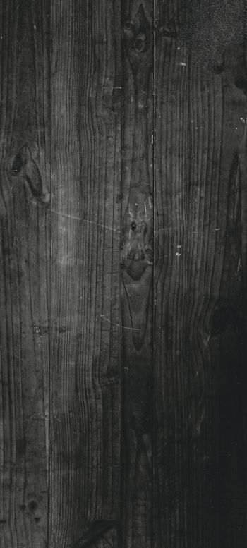 wood, dark, achromatic Wallpaper 1440x3200