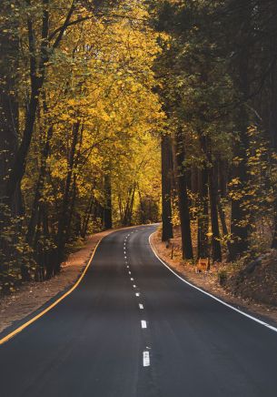 Yosemite, road, autumn Wallpaper 1668x2388