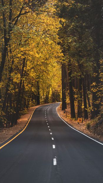 Yosemite, road, autumn Wallpaper 640x1136